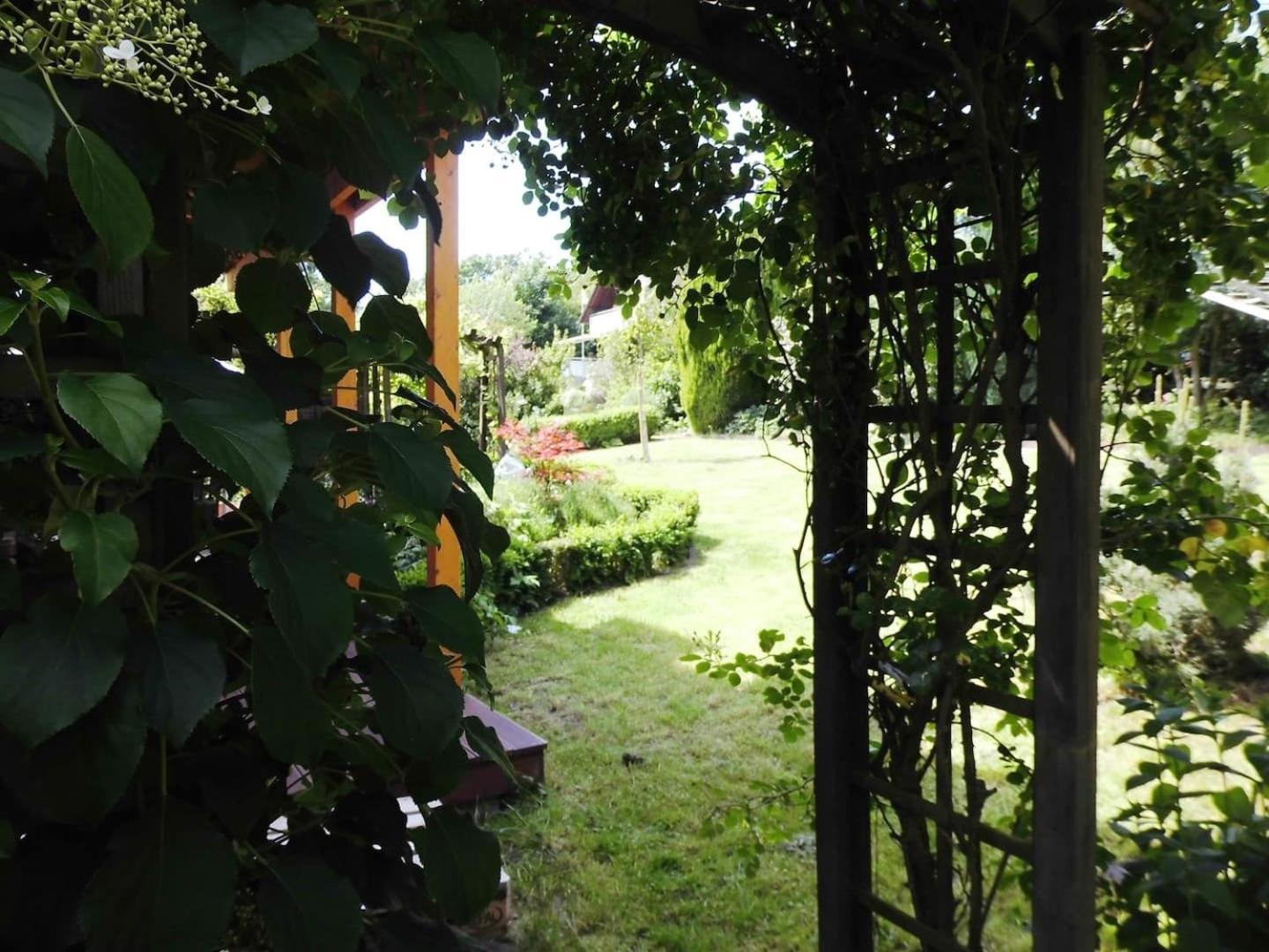 Farbenfrohe Ferienwohnung Detmold Exteriör bild