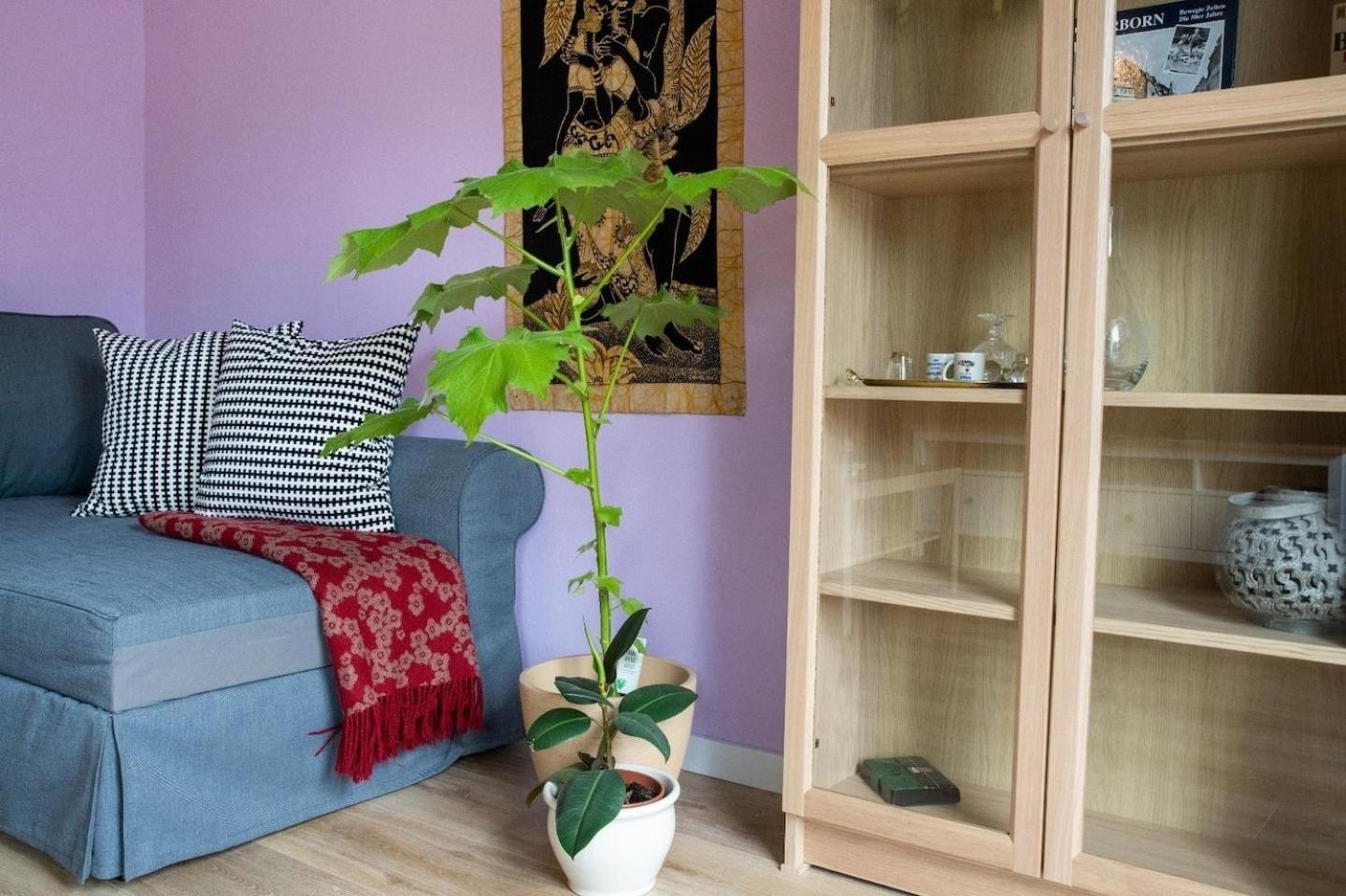 Farbenfrohe Ferienwohnung Detmold Exteriör bild